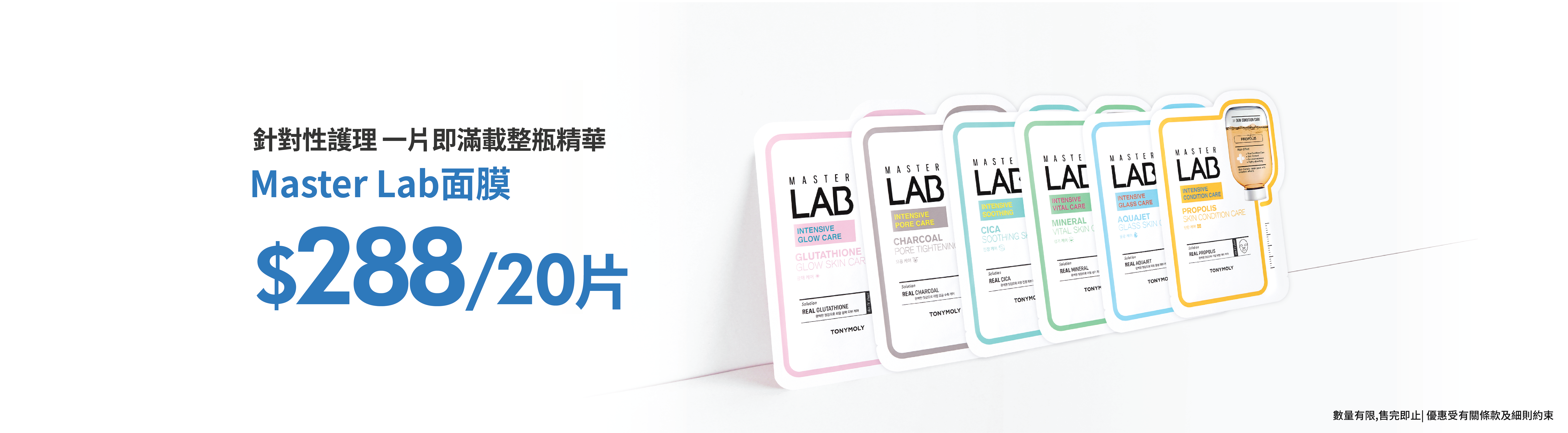 master lab